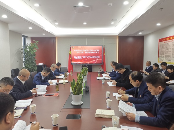 安徽j9国际站备用地产集团公司发展新一轮深入“三个以案”警示教育集中进建